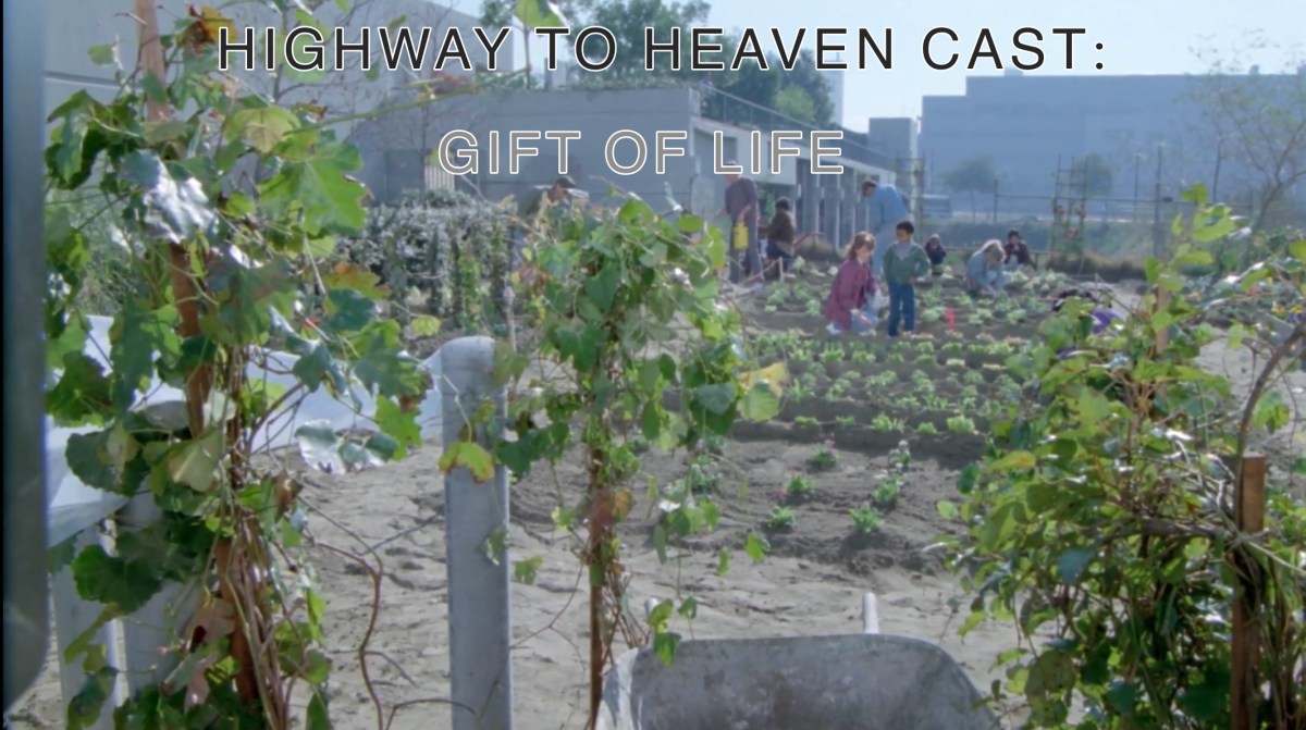 Gift Of Life — Highway To Heaven Season&nbsp;Three